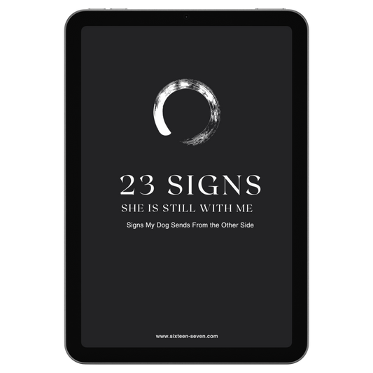 23 Signs – She Is Still With Me