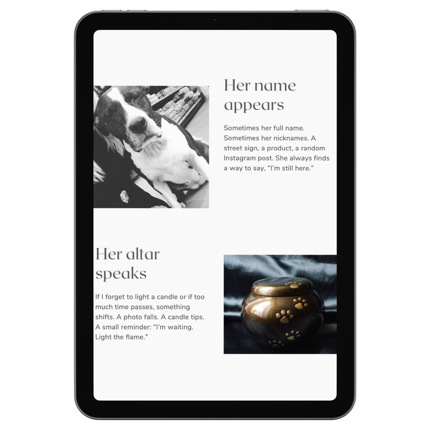 23 Signs – She Is Still With Me